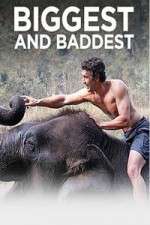 Watch Biggest and Baddest Myflixer