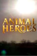 Watch Animal Heroes Myflixer
