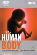Watch The Human Body Myflixer