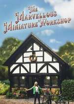 Watch The Marvellous Miniature Workshop Myflixer