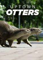 Watch Uptown Otters Myflixer