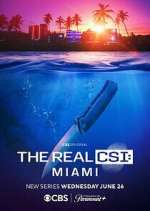 Watch The Real CSI: Miami Myflixer