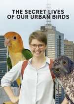 Watch The Secret Lives of Our Urban Birds Myflixer