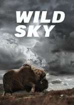 Watch Wild Sky Myflixer