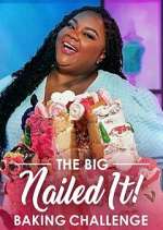 Watch The Big Nailed It! Baking Challenge Myflixer