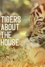 Watch Tigers About the House Myflixer