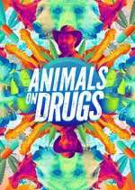 Watch Animals on Drugs Myflixer