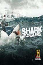 Watch Shark Wranglers Myflixer