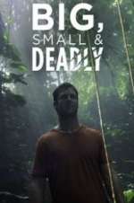 Watch Big, Small & Deadly Myflixer