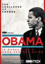 Watch Obama: In Pursuit of a More Perfect Union Myflixer