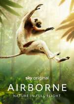 Watch Airborne Myflixer