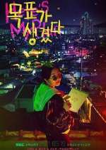 Watch Here's My Plan Myflixer