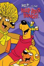 Watch Help!... It's the Hair Bear Bunch Myflixer
