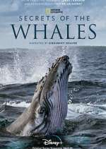 Watch Secrets of the Whales Myflixer