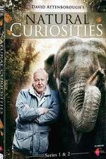 Watch Natural Curiosities Myflixer