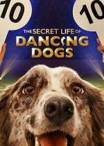 Watch The Secret Life of Dancing Dogs Myflixer