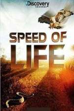 Watch Discovery Channel Speed Of Life Myflixer