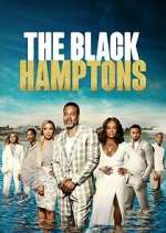 Watch Carl Weber's The Black Hamptons Myflixer