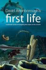 Watch David Attenborough's First Life Myflixer