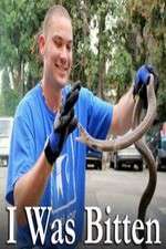 Watch I Was Bitten Myflixer