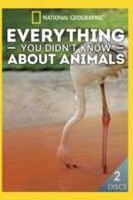 Watch Everything You Didnt Know About Animals Myflixer