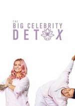 Watch The Big Celebrity Detox Myflixer