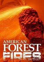 Watch American Forest Fires: The Untold Story Myflixer