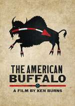 Watch The American Buffalo Myflixer
