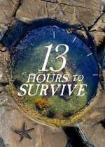 Watch 13 Hours to Survive Myflixer