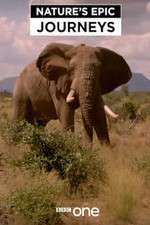 Watch Nature's Epic Journeys Myflixer