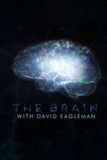 Watch The Brain with Dr David Eagleman Myflixer