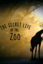 Watch The Secret Life of the Zoo Myflixer